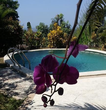 West Bali Villas-Umasari Resort Negara  Εξωτερικό φωτογραφία