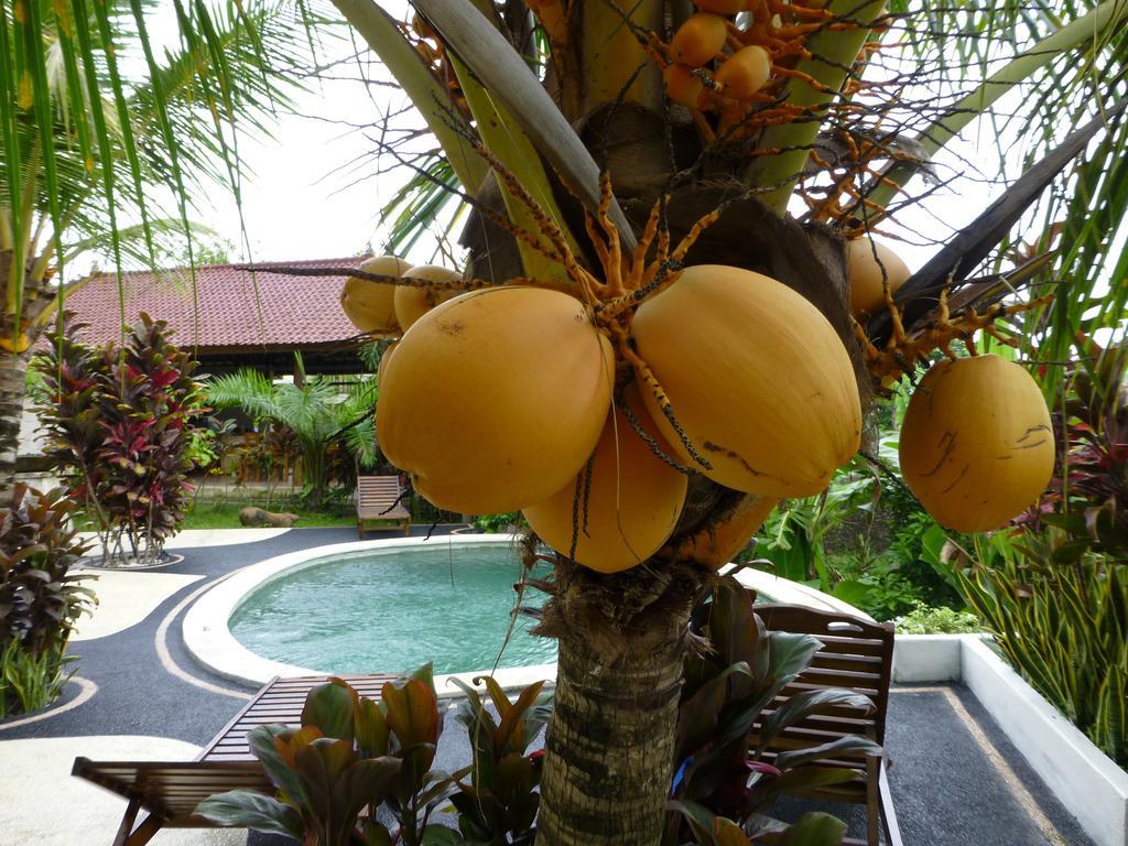 West Bali Villas-Umasari Resort Negara  Δωμάτιο φωτογραφία