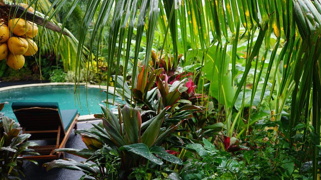 West Bali Villas-Umasari Resort Negara  Εξωτερικό φωτογραφία
