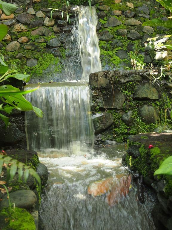 West Bali Villas-Umasari Resort Negara  Εξωτερικό φωτογραφία