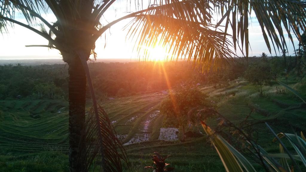 West Bali Villas-Umasari Resort Negara  Εξωτερικό φωτογραφία