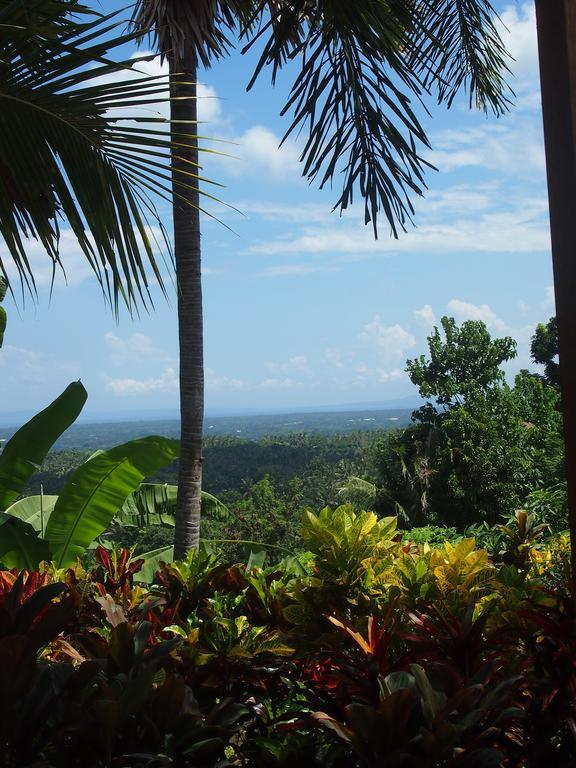 West Bali Villas-Umasari Resort Negara  Εξωτερικό φωτογραφία