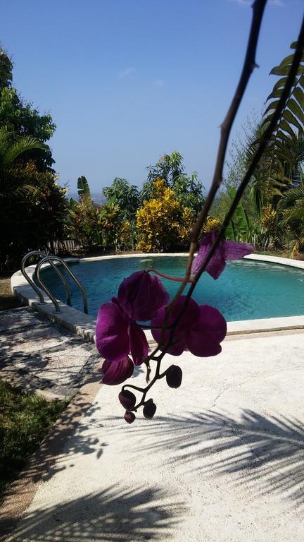West Bali Villas-Umasari Resort Negara  Εξωτερικό φωτογραφία